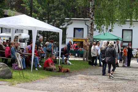 t1100001 9 knubbelige Hundewelpen suchen ein Zuhause