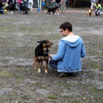 t1300012-150x150 Bericht zum Tag der offenen Tür 2013