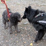 t1300017-150x150 Bericht zum Tag der offenen Tür 2013