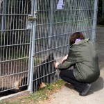 t1300019-150x150 Bericht zum Tag der offenen Tür 2013