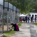 t1300023-150x150 Bericht zum Tag der offenen Tür 2013