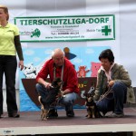 t1300043-150x150 Bericht zum Tag der offenen Tür 2013