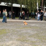 t1300052-150x150 Bericht zum Tag der offenen Tür 2013