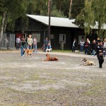 t1300054-150x150 Bericht zum Tag der offenen Tür 2013