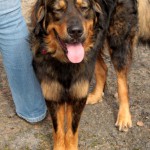 t1300055-150x150 Bericht zum Tag der offenen Tür 2013