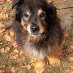 t1300057-150x150 Bericht zum Tag der offenen Tür 2013