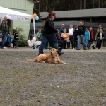 t1300061-150x150 Bericht zum Tag der offenen Tür 2013