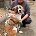 t1300064-150x150 Bericht zum Tag der offenen Tür 2013