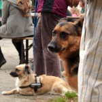 t1300065-150x150 Bericht zum Tag der offenen Tür 2013