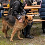 t1300066-150x150 Bericht zum Tag der offenen Tür 2013