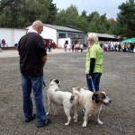 t1300067-150x150 Bericht zum Tag der offenen Tür 2013