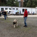 t1300069-150x150 Bericht zum Tag der offenen Tür 2013