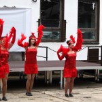 t1300072-150x150 Bericht zum Tag der offenen Tür 2013