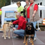 t1300076-150x150 Bericht zum Tag der offenen Tür 2013