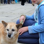 t1300079-150x150 Bericht zum Tag der offenen Tür 2013