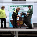 t1300090-150x150 Bericht zum Tag der offenen Tür 2013