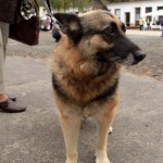 t1300092-150x150 Bericht zum Tag der offenen Tür 2013