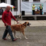 t1300095-150x150 Bericht zum Tag der offenen Tür 2013