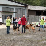 t1300096-150x150 Bericht zum Tag der offenen Tür 2013