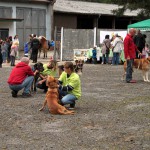 t1300097-150x150 Bericht zum Tag der offenen Tür 2013