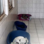 t1300100-150x150 Bericht zum Tag der offenen Tür 2013