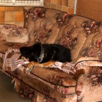 t1300101-150x150 Bericht zum Tag der offenen Tür 2013