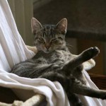 to800001-150x150 Tag der offenen Tür 2008