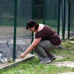 to800008-150x150 Tag der offenen Tür 2008