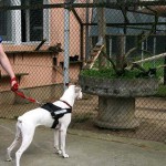 to800009-150x150 Tag der offenen Tür 2008