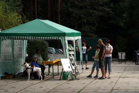 to800010 Die Tierschutzliga Stiftung wünscht Ihnen ein frohes Osterfest