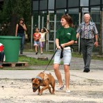 to800018-150x150 Tag der offenen Tür 2008