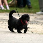 to800022-150x150 Tag der offenen Tür 2008