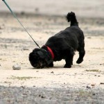 to800023-150x150 Tag der offenen Tür 2008