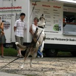 to800025-150x150 Tag der offenen Tür 2008