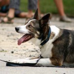 to800026-150x150 Tag der offenen Tür 2008