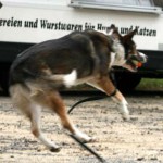 to800027-150x150 Tag der offenen Tür 2008