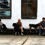 to800028-150x150 Tag der offenen Tür 2008