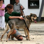 to800029-150x150 Tag der offenen Tür 2008