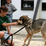 to800030-150x150 Tag der offenen Tür 2008