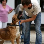 to800031-150x150 Tag der offenen Tür 2008