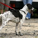 to800032-150x150 Tag der offenen Tür 2008