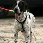 to800033-150x150 Tag der offenen Tür 2008