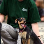 to800034-150x150 Tag der offenen Tür 2008