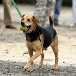 to800037-150x150 Tag der offenen Tür 2008