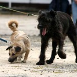 to800039-150x150 Tag der offenen Tür 2008