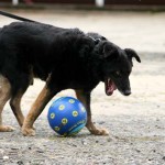 to800040-150x150 Tag der offenen Tür 2008