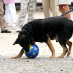 to800041-150x150 Tag der offenen Tür 2008