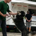 to800042-150x150 Tag der offenen Tür 2008