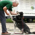 to800043-150x150 Tag der offenen Tür 2008