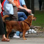 to800049-150x150 Tag der offenen Tür 2008